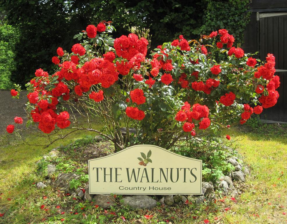 The Walnuts Country House West Row Zewnętrze zdjęcie