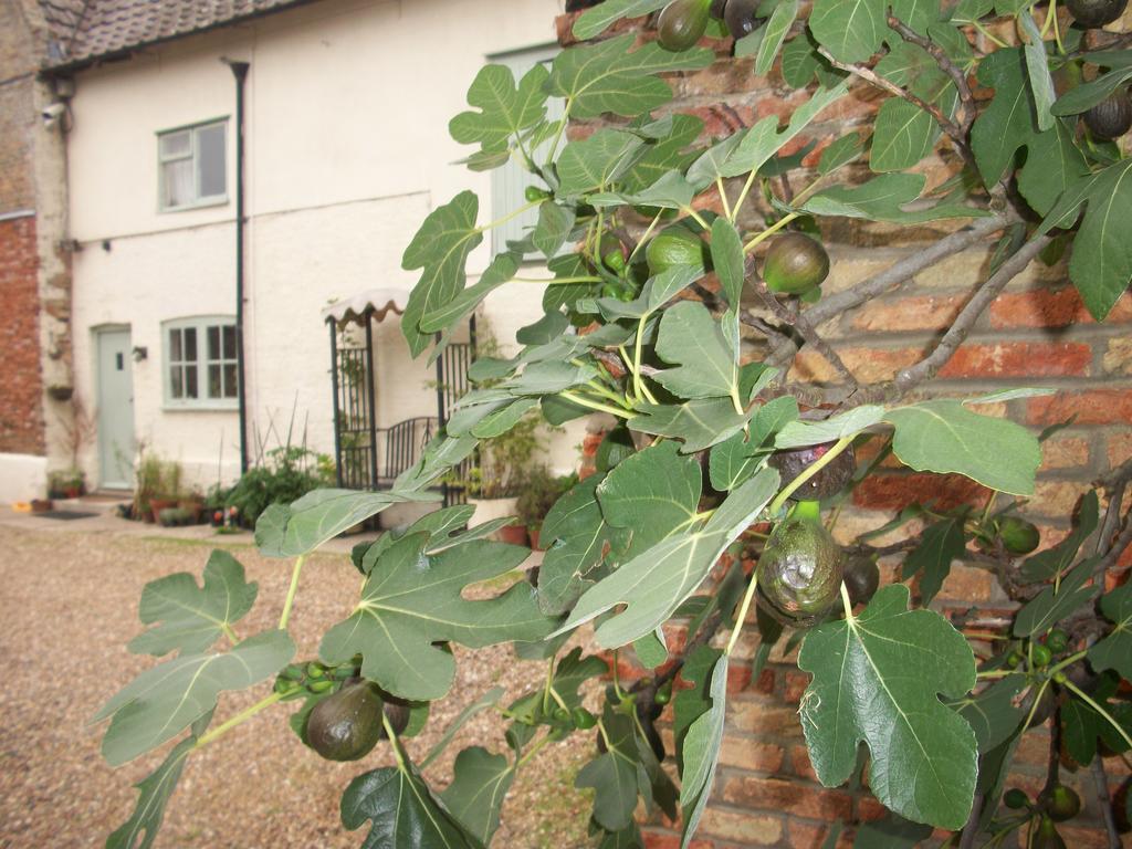 The Walnuts Country House West Row Zewnętrze zdjęcie